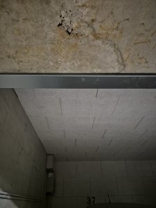 20241105_230231.jpg