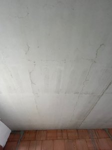 d5b22025-4fa1-44b7-9ab0-95fe5443c3ea.JPG