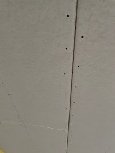 IMG_3298.jpeg