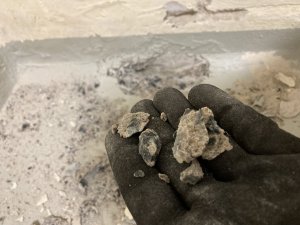 IMG_3079.jpeg