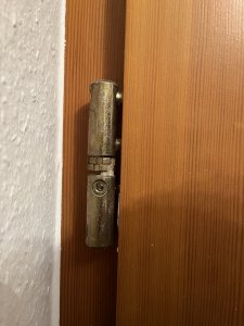 IMG_6266.jpeg