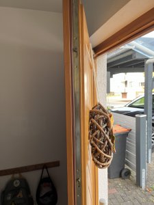 IMG_6281.jpeg