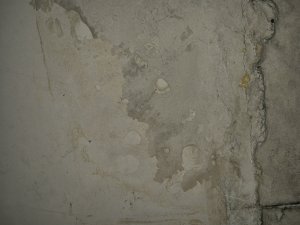 20241115_202142.jpg