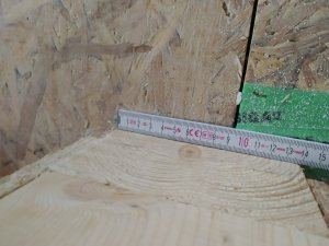 IMG_20241117_122637.jpg