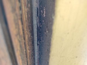 IMG_20241116_112636.jpg