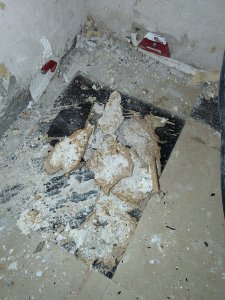 IMG_20241116_132113.jpg