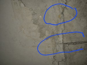 20241115_202106.jpg