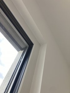 IMG_6501.jpeg