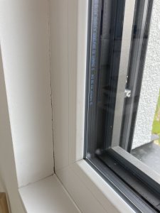 IMG_6499.jpeg