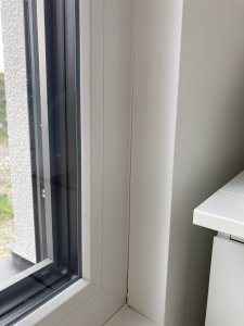 IMG_6498.jpeg