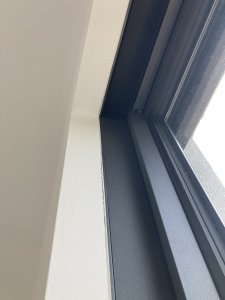 IMG_6493.jpeg