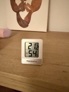 IMG_0875.jpeg