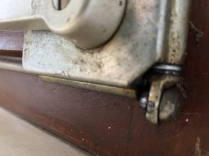 IMG_8851.jpeg