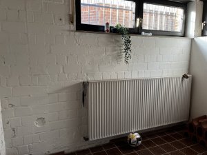 IMG_5333.jpeg