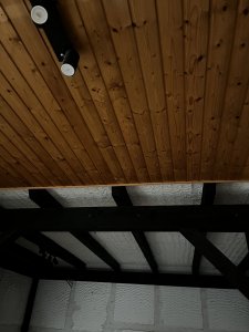 IMG_5340.jpeg