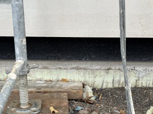 IMG_3445.jpeg