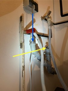 IMG_5132.jpeg