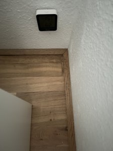 IMG_3911.jpeg