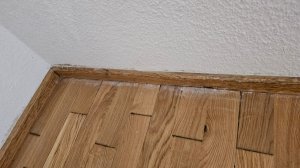 IMG-20241201-WA0007.jpg