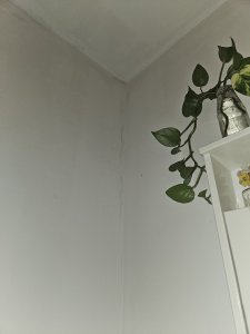 20241201_212043.jpg