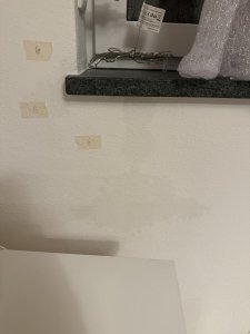 IMG_1076.jpeg