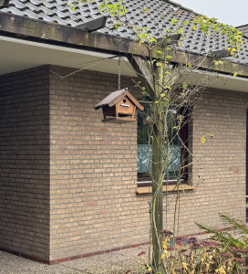 Bildschirmfoto 2024-12-08 um 12.57.13.png