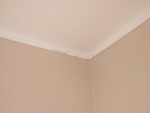 PXL_20241208_183747532.jpg