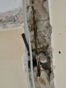 IMG_20241206_104630.jpg