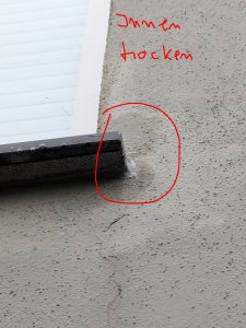 PXL_20241209_121817674.jpg