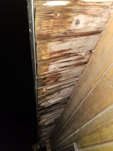 20241216_072350.jpg