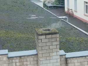IMG_20241217_104154.jpg