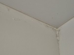 20241220_204909.jpg