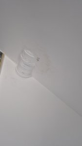 20241003_171459.jpg