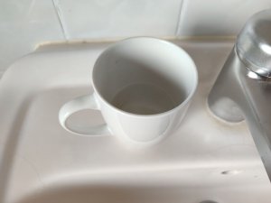 IMG_20241223_135918.jpg