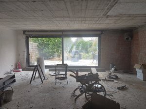 IMG_20241224_115009.jpg