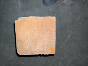 IMG_20241225_195208.jpg