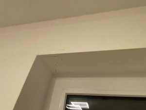 IMG_6804.jpeg