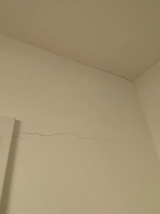 IMG_6803.jpeg