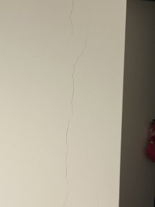IMG_6801.jpeg
