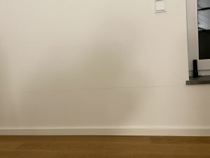 IMG_6806.jpeg