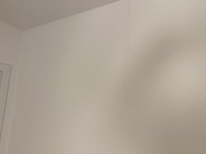 IMG_6808.jpeg
