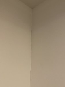 IMG_6805.jpeg