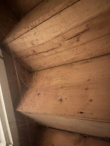 IMG_3222.jpeg