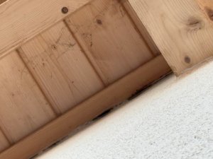 IMG_0021.jpg