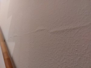 13b5823d-351c-4238-9c94-9e36f0836de0.jpeg