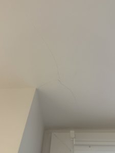 IMG_9173.jpeg