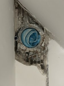 IMG_2907.jpeg