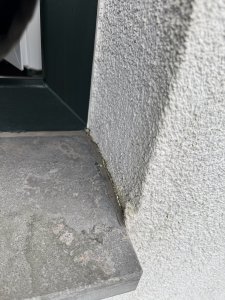 IMG_0044.jpeg