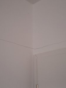 cc1601ad-1e49-4225-85c9-6c80ed3c75b5.jpeg