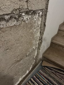 IMG_7850.jpeg